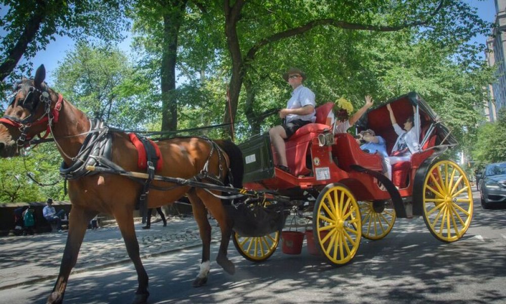 Horse Carriage, NYC, New York, New York City, Central Park, Ride, DMC, Destination Management